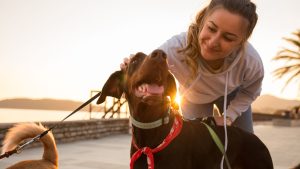 Professional dog walker spending time with a happy dog during a walk in Columbus, Ohio.