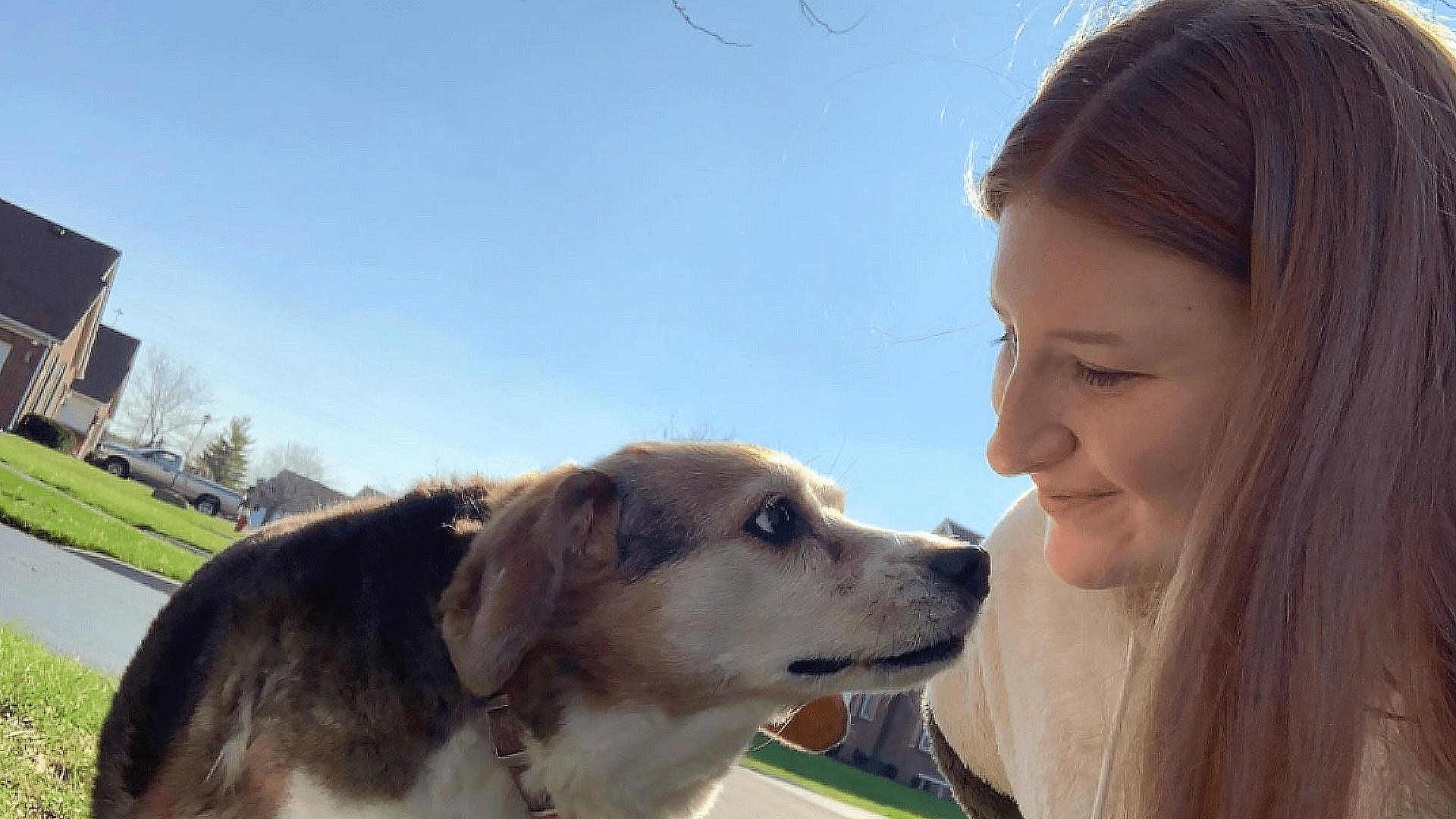 Dog Walking Service Columbus 21 Dog Walking Service Columbus 21