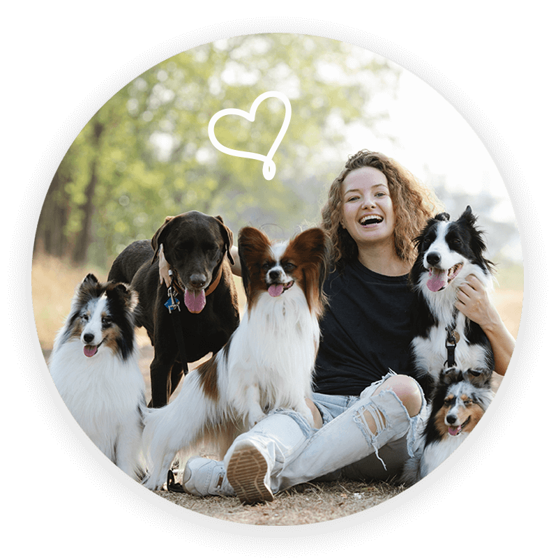 Dog Walking service near me columbus oh 1011