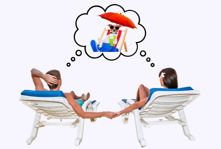 Pet Sitting in Columbus, Ohio Hands N Paws