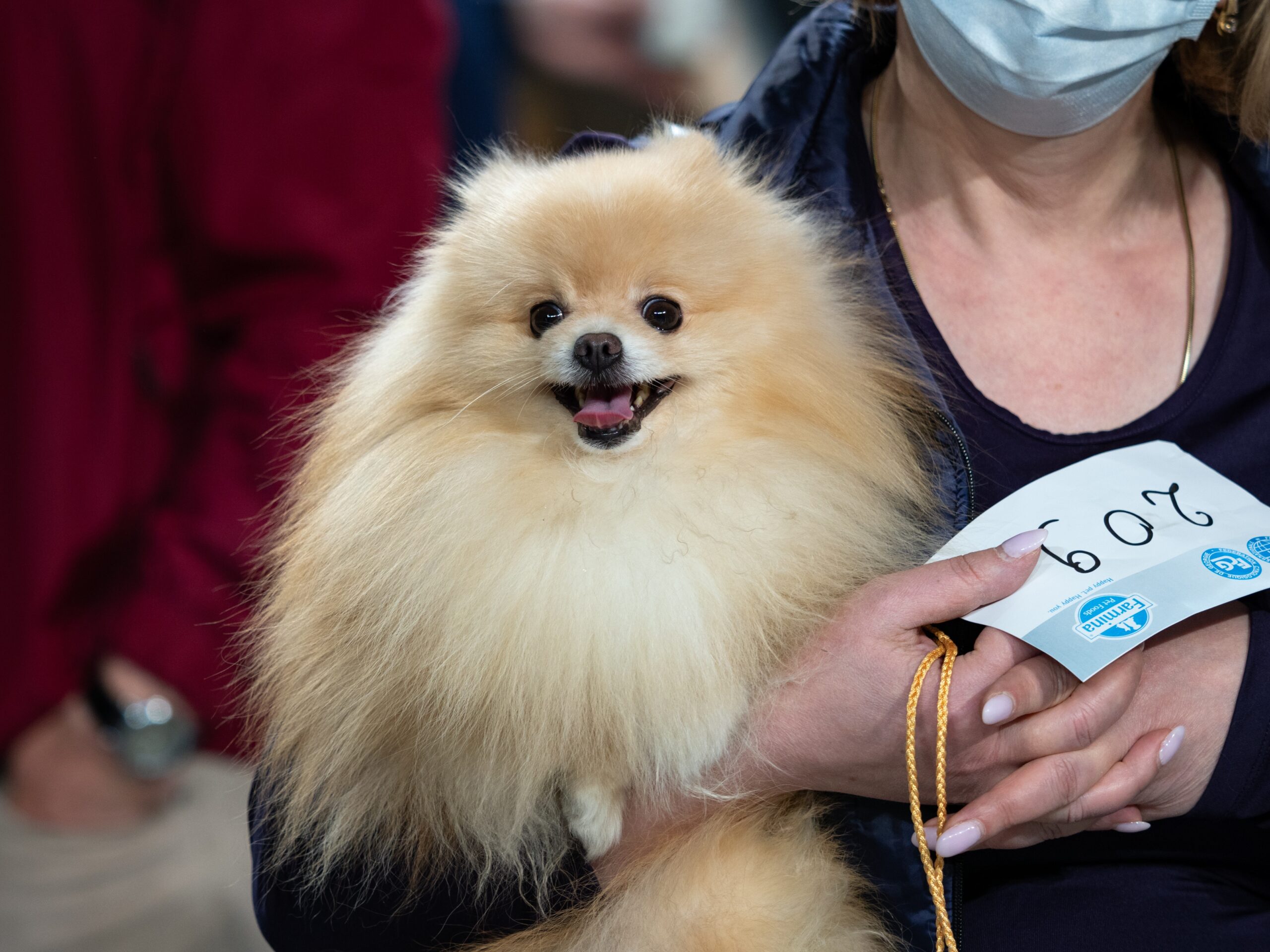 The Ultimate Guide to the 2023 Columbus Pet Expo