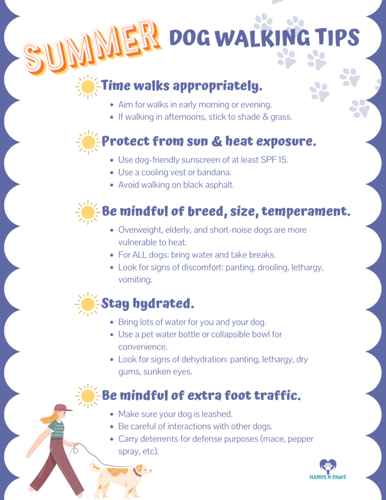 Summer Dog Walking Checklist