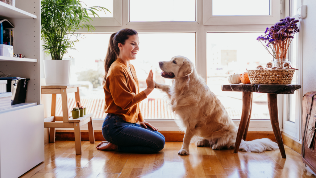 Pet sitter in Columbus, Ohio praising a dog for following training commands.