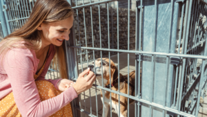 Woman in Columbus, Ohio, gently petting a dog through the bars of a shelter cage, symbolizing the bond and hope of pet adoption.