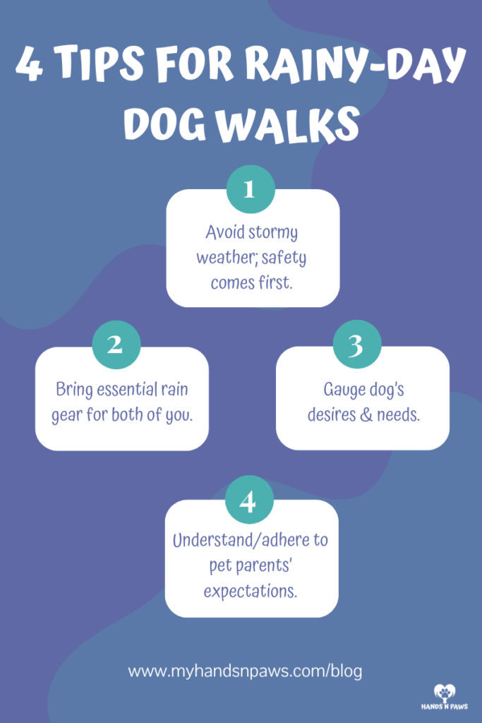4 Tips for Rainy-Day Dog Walks in Columbus, Ohio