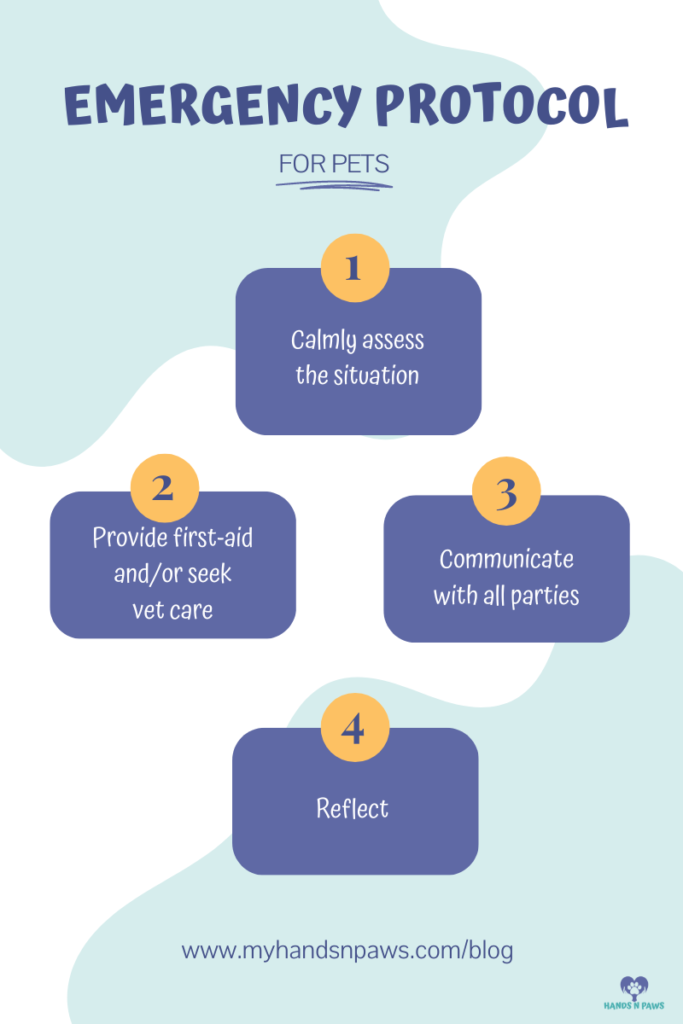 Pet Emergency Protocol for Pet Sitters in Columbus, Ohio