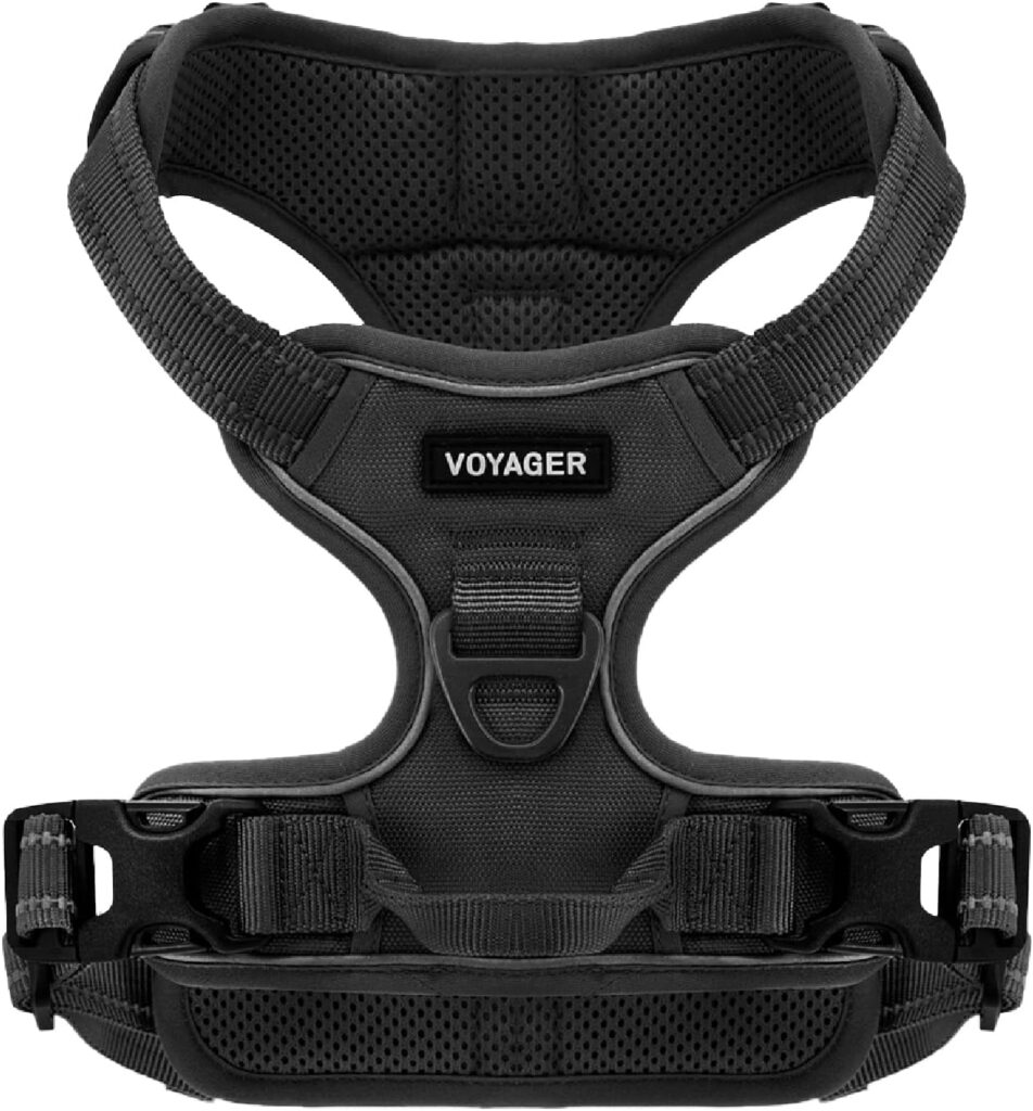 Dual-clip harness as used by dog walkers in Columbus, Ohio