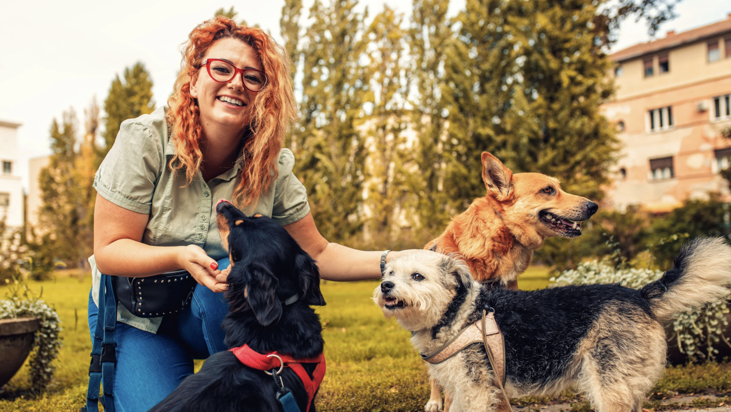 How Our Columbus Dog Walkers Stay Sharp Every Visit A Hands N Paws dog walker in Columbus, Ohio greeting a happy dog during an in-home pet care visit.